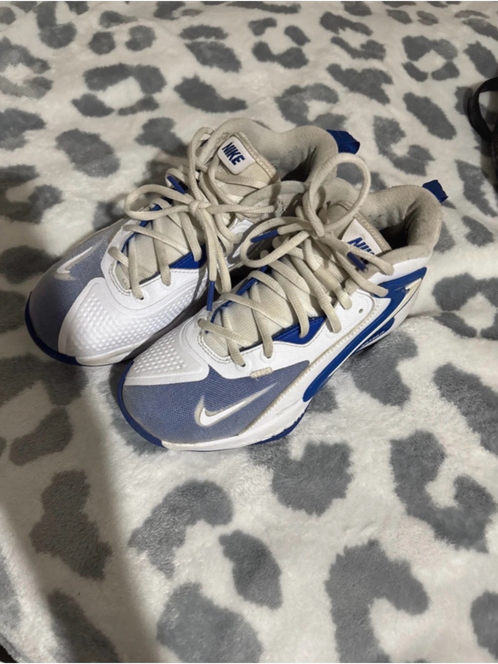 Nike Zoom Hyperset 2 Volleyball shoes